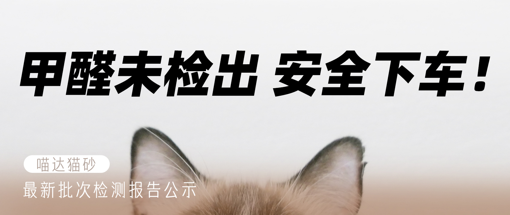 【特别申明】关于猫砂甲醛安全问题的正式说明与坚定承诺